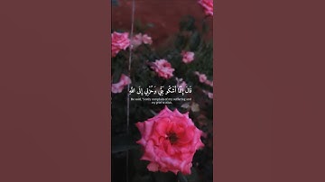 قال انما اشكو بثي🥺💜 وحزني الى الله قران كريم -راحه #نفسيه-استمع#💙
