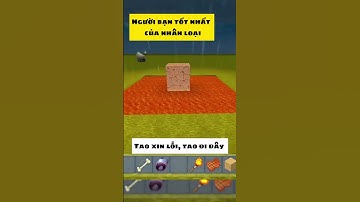 Người bạn tốt của con người ❤ Vietsub  #miniworld #miniworldvatoi #miniworldvn #caonguyenbanggia