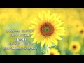 ひまわりの小径 チェリッシュ 【cover】