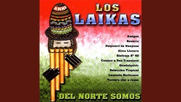 Potpourri De Huaynos: El Negro / Ay Amor / Verde Limoncito