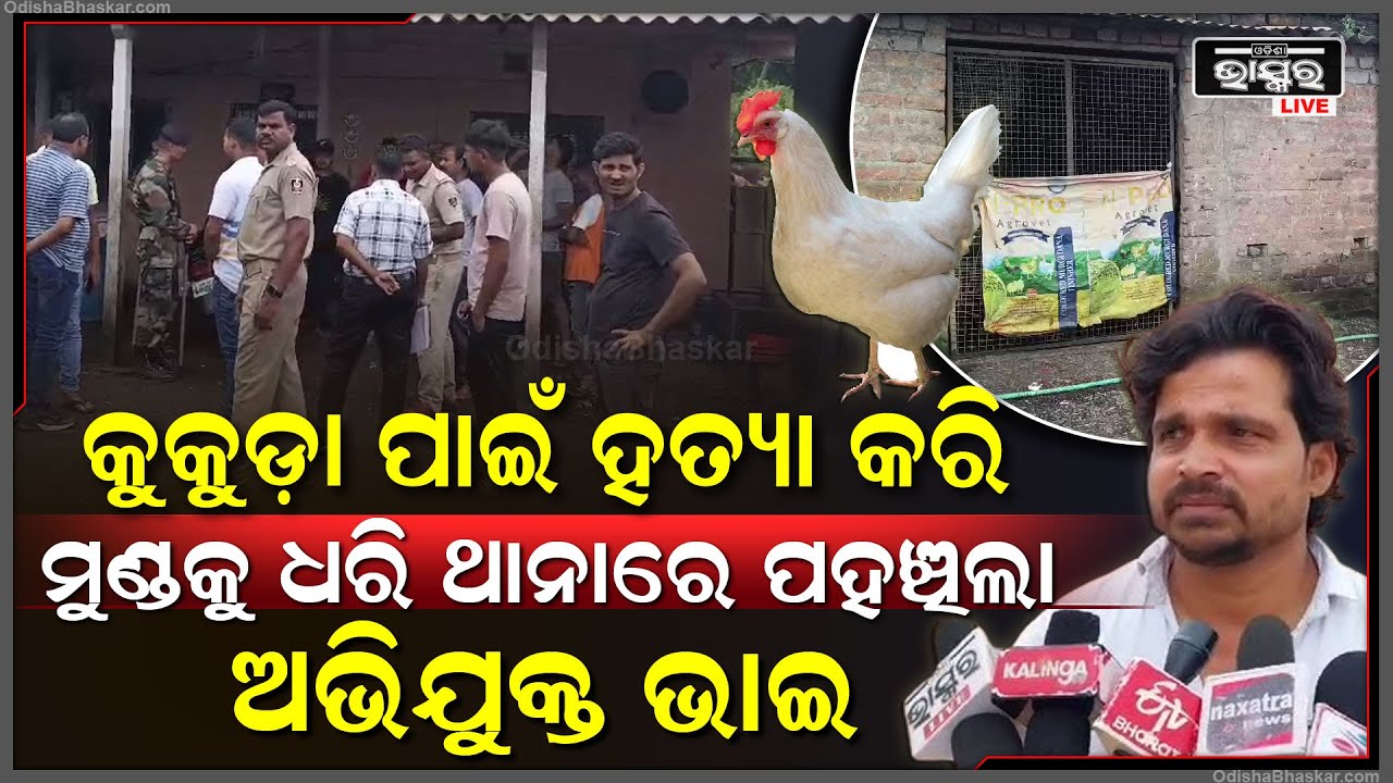 କୁକୁଡା ପାଇଁ ଭାଇକୁ ମାରିଲା ଭାଇ... ହତ୍ୟା ପରେ ଥାନାରେ କଲା ଆତ୍ମସର୍ମପଣ... ଏହାକୁ ଦେଖି ସମସ୍ତେ ଚକିତ...