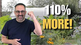 The $2 Compost Tea Recipes That Increased Yields 110% (Backed by Science)