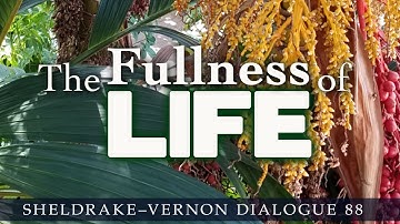 The Fullness of Life: Sheldrake-Vernon Dialogue 88