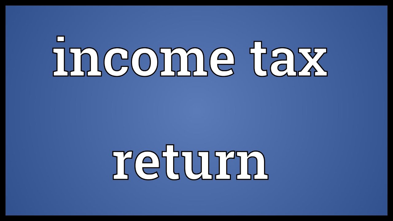 Tax Return Definition Economics