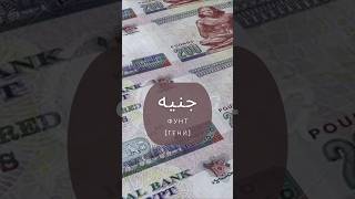 ФУНТ 💷🪙 #египетскийдиалект #egyptiandialect #арабскийдляначинающих #учиарабский #egyptianlanguage