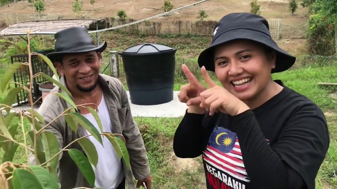 part 4 pruning durian durian tree😋