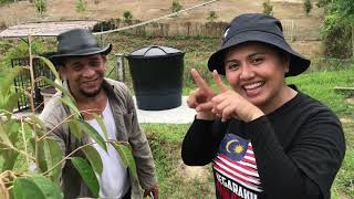 part 4 pruning durian durian tree😋