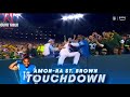 Every Amon-Ra St.Brown touchdown catch from the 2023-2024 regular season!