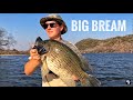 First Big Bream in a while and Tigerfishing fun!