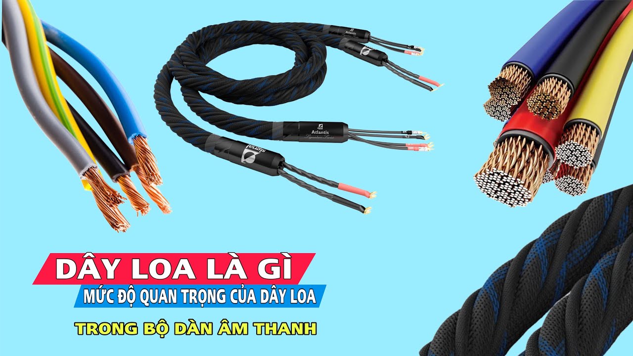 DÂY LOA LÀ GÌ ? MỨC ĐỘ QUAN TRỌNG CỦA DÂY LOA TRONG BỘ DÀN ÂM THANH