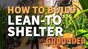 Build a Lean-To Grounded Build Shelter