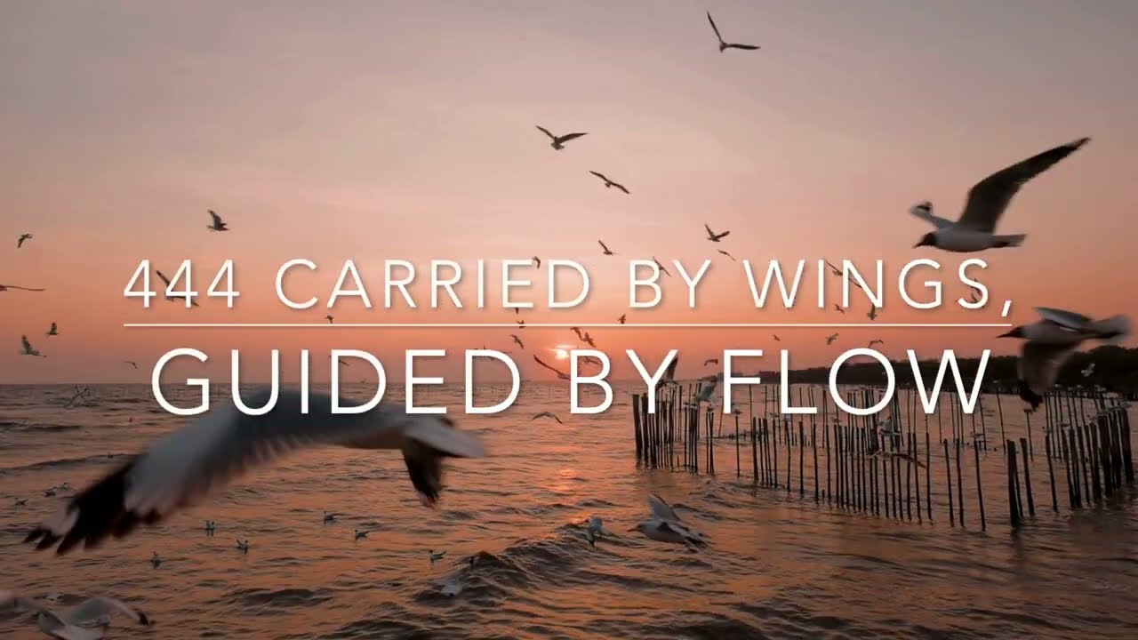 Angels in Flight - 444 and the Waters of Peace adlı videoyu YouTube'da izle Angels in Flight - 444 and the Waters of Peace adlı videoyu YouTube'da izle