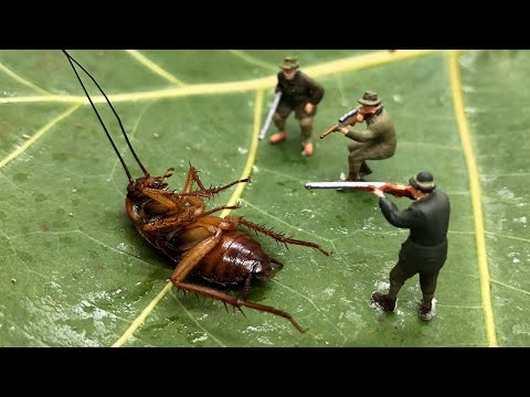 Летающие тараканы в Испании - здоровенные Кукарача!