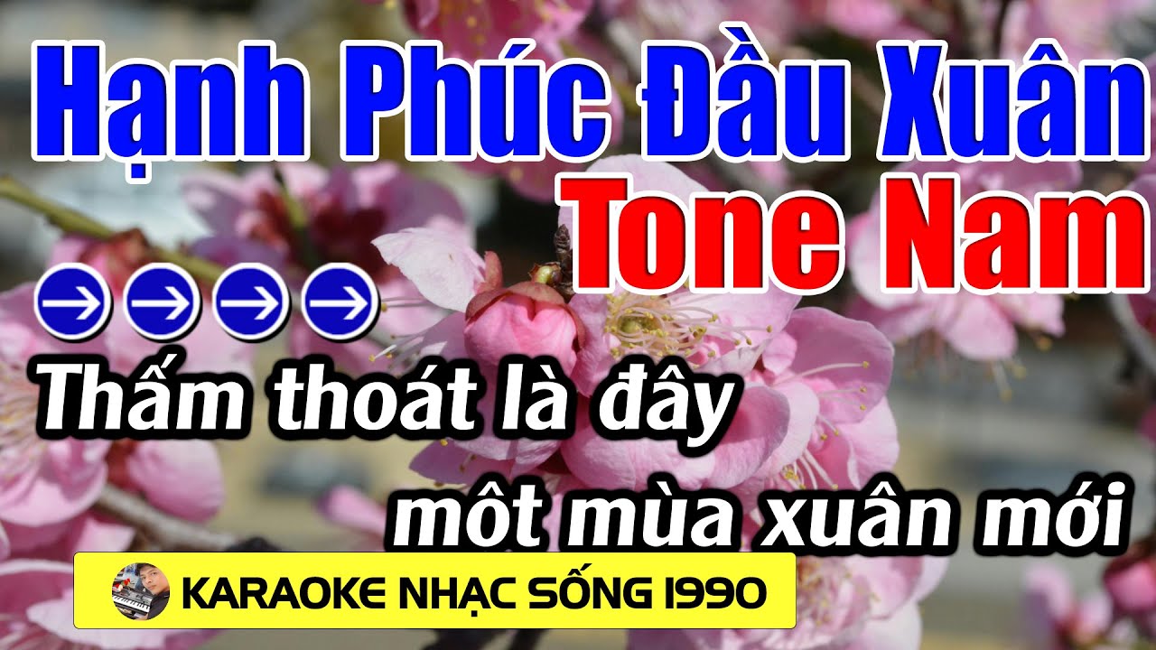 Hạnh Phúc Đầu Xuân - Karaoke Tone Nam - Karaoke Nhạc Sống 1990 - Beat Mới