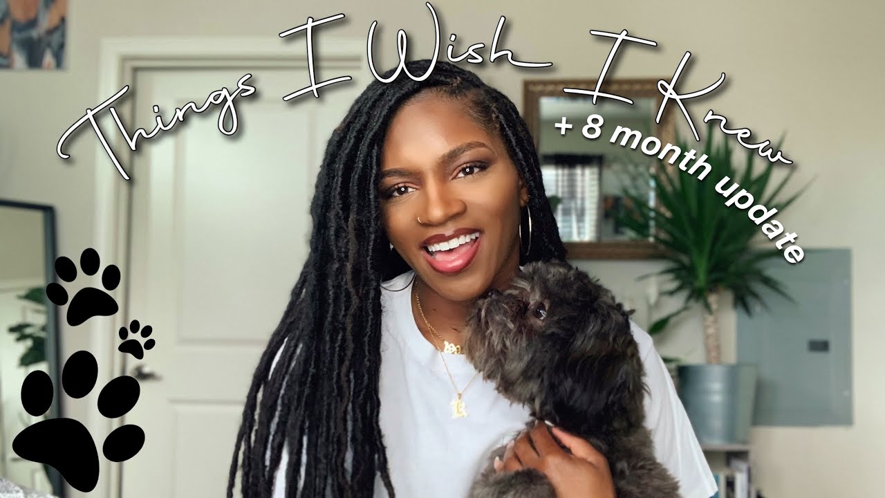 Things I Wish I Knew Before Getting a Puppy | Shihpoo Puppy Update | KASIAVEE 🐶🐾