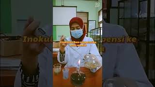 Mikrobiologi : Inokulasi Teknik Spread Plate dan Inkubasi