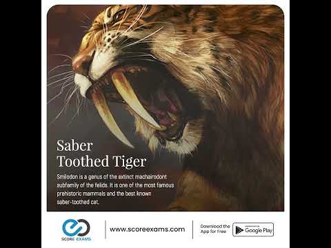 Do saber tooth