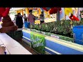 Busch Gardens Williamsburg: Bottle Ring Toss Carnival Game (April 13th 2024)