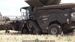 Fendt - Claas / Getreideernte - Grain Harvest  TB