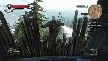 Accurate Fall Damage - The Witcher 3