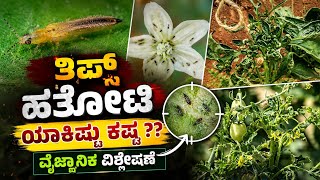 Thrips Control What Youre Missing? The Science Behind Thrips Control