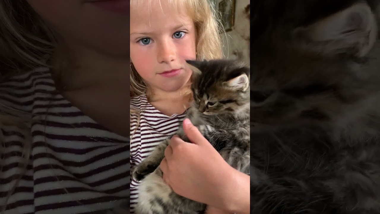 Мелита и Котенок 🐱КАК ЕГО ЗОВУТ? 💙❤️