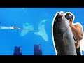 Spearfishing in FLORIDA | Landing GIANTS with SHARKS ALL AROUND! | Ep.