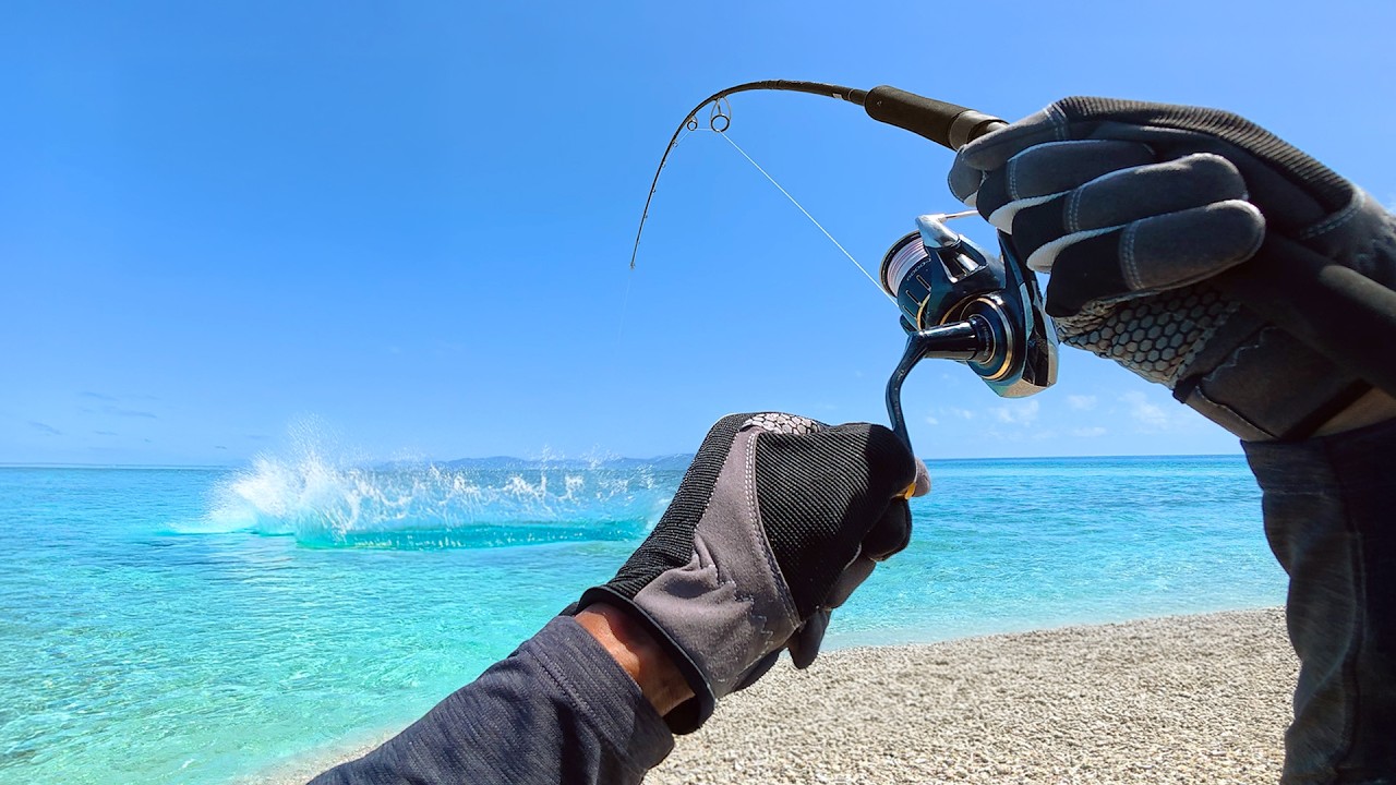 The Ultimate 48HR Fishing Adventure on the World’s Largest Reef