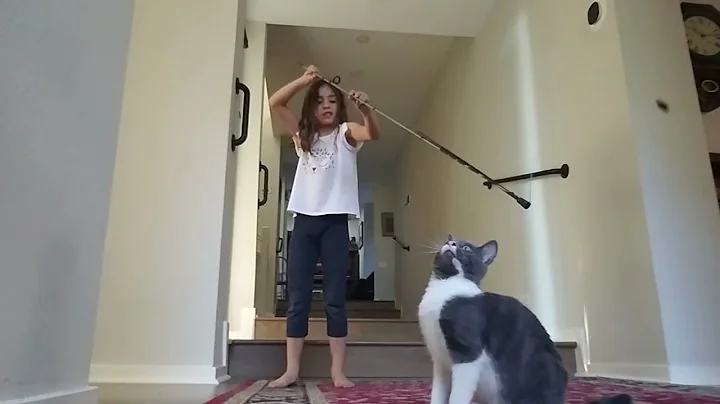 Trying to get Bella to do tricks