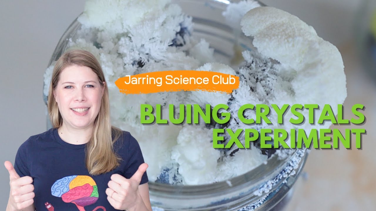 Coal Crystal Garden Recipe Fasci Garden