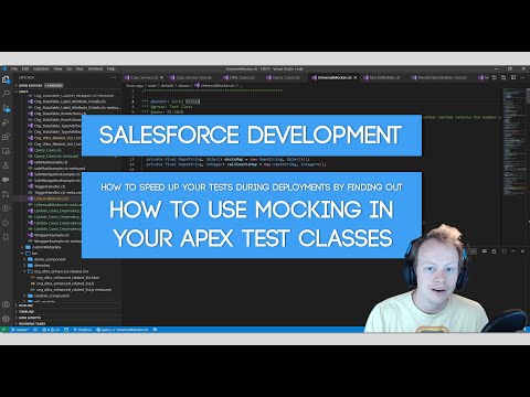 Salesforce Developer Tutorial: