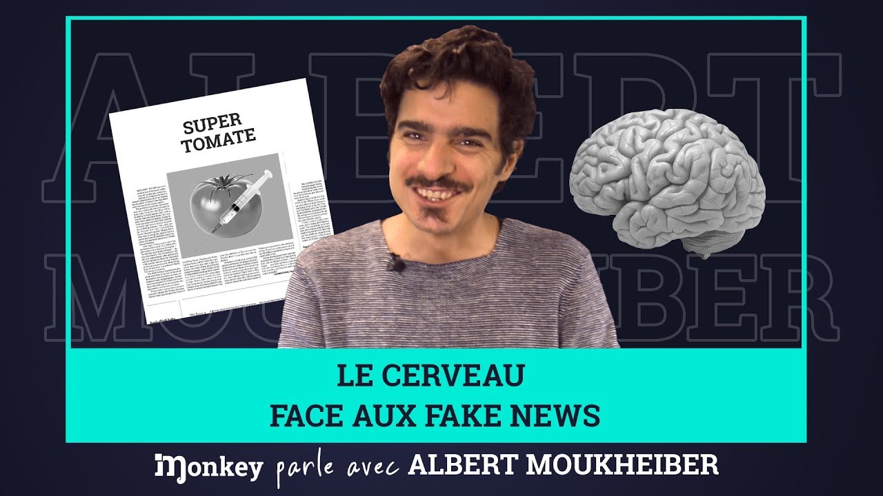 Notre CERVEAU face aux FAKE NEWS - ALBERT MOUKHEIBER (Monkey parle avec)