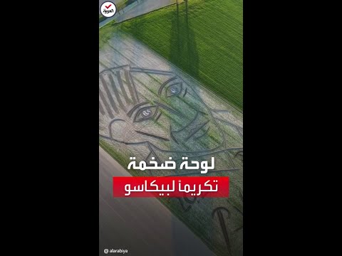 إيطالي يرسم لوحة ضخمة لبيكاسو تكريما له