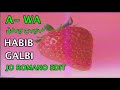 A-WA Habib Galbi- Jo Romano funk edit