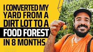 DIRT LOT TO FOOD FOREST IN 8 MONTHS | Arizona Tropical Growing