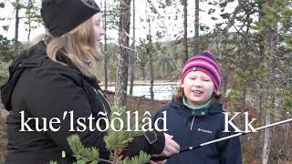 Nuõrttsääʹmǩiõl alfabeeʹtt - koltankieliset aakkoset
