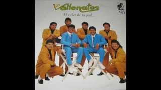 Video thumbnail of "Los Vallenatos De La Cumbia - Sal Y Agua (1992)"