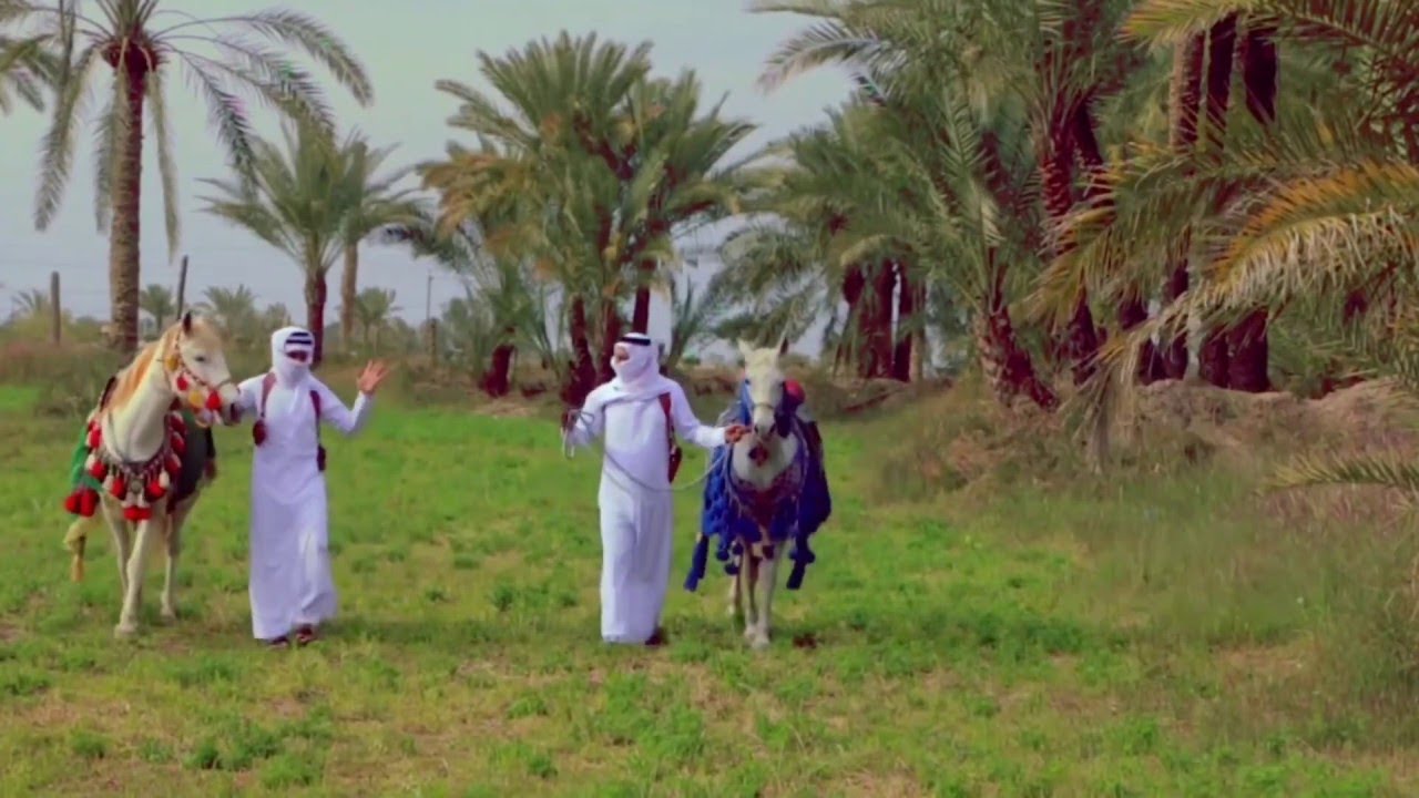 قصيده لكل عشايرنه العراقيه | اداء المنشد علي العباسي  /  والمنشد محمد العابدي