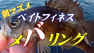 早朝のベイトフィネスメバリング メバルがバイトする瞬間が見える楽しさはあるものの 小型のメバルのみで終了 寝坊して朝マズメを逃したのが悔やまれる Youtube 早朝のベイトフィネスメバリング メバルがバイトする瞬間が見える楽しさはあるものの 小型のメバルのみで終了 寝坊して朝マズメを逃したのが悔やまれる Youtube