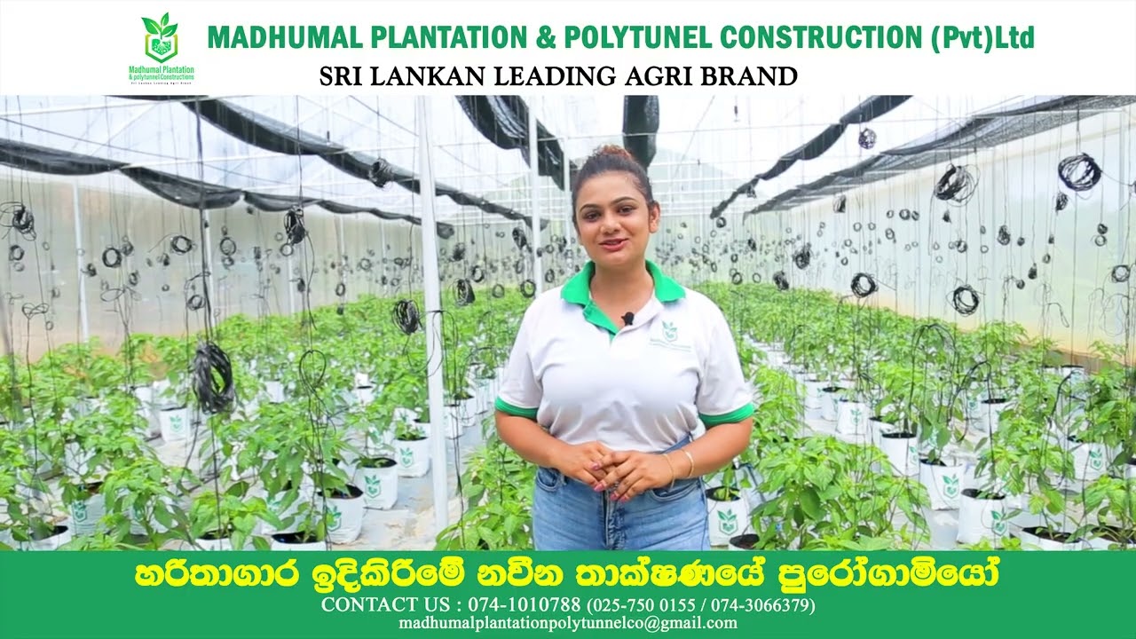 අප ආයතනය විසින් නිමකර පූර්ණ අධික්ෂණය යටතේ වගා කටයුතු සිදු වෙමින් පවතින නවතම හාරිතාගාර ව්‍යාපෘතිය