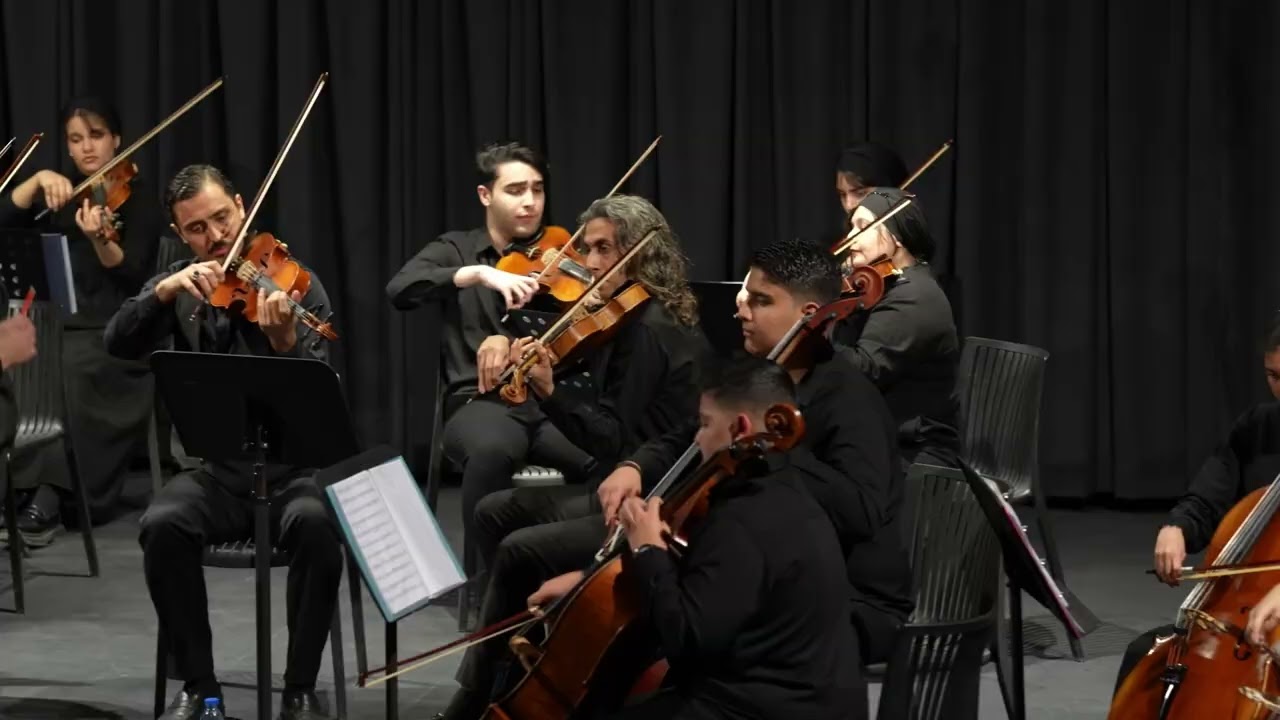 W. A. Mozart - Divertimento in D major - Shiraz String Orchestra directed by Farzad Khavand 