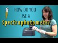 How do you use a Spectrophotometer? A practical guide!