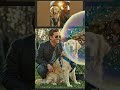 Smart Dog Ton