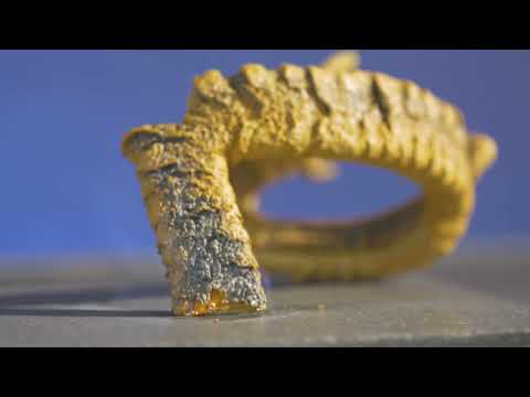5 Fun Facts about Snakes You Probably Didn’t Know