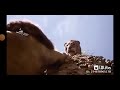 فيديو حزين على فيلم سيمبا