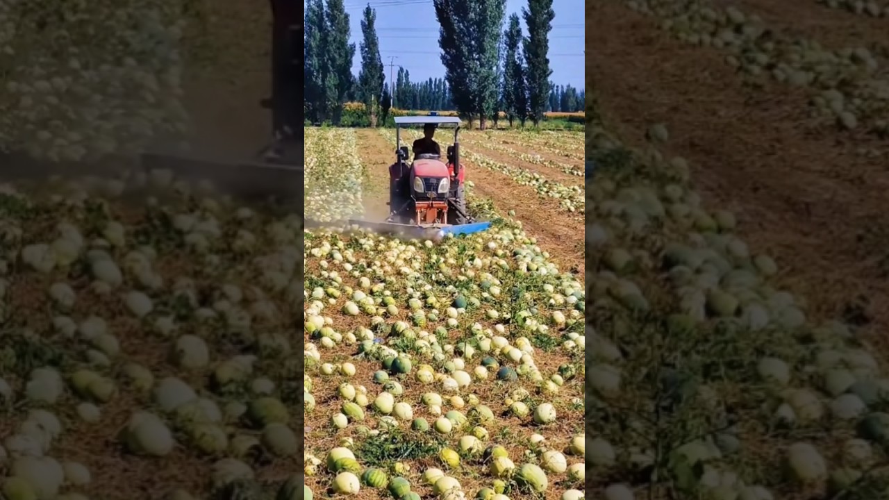 🌾 Smart Farming Ideas 🚜 | Kheti Karne Ka Naya Unique Tarika | Modern Agriculture Jugaad 