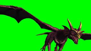 Dragon in Fly - different Views - greenscreen effects - free use