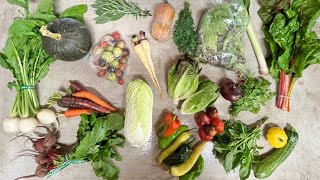 2025 CSA Week 16
