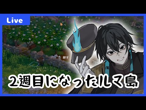 【#ルマ島 】ルマ島の2週目を楽しむ~森の料理の続きを楽しむ~【#夕活 】