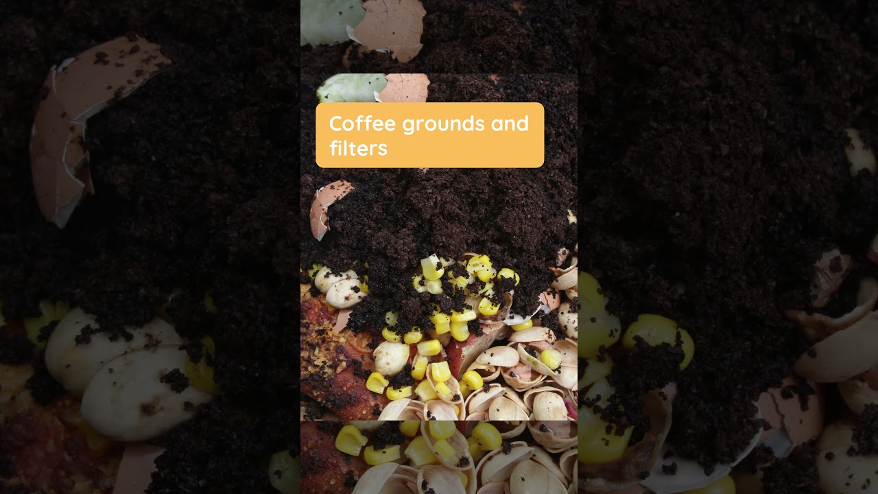 What Food Items to Compost |  Karma Pluss - Carbon Offset And Recycle Solution 